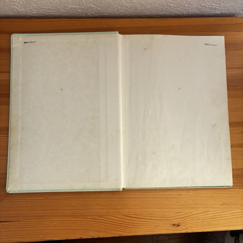 Dr. Seuss Collectible The Lorax 1971 First Library Edition Lake Erie - Picture 3 of 16